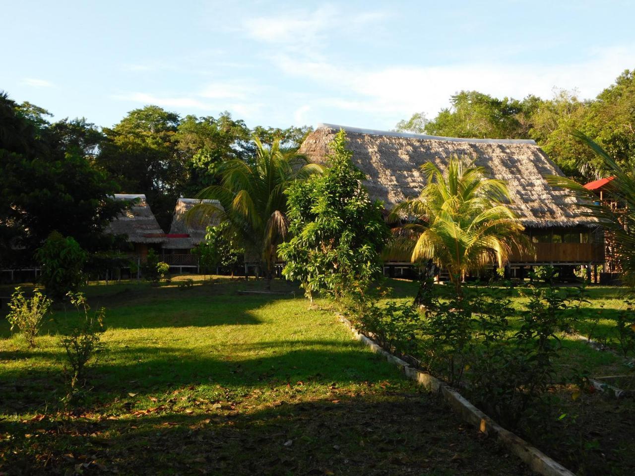 Intillama Jungle Lodge Paucarpata  Luaran gambar