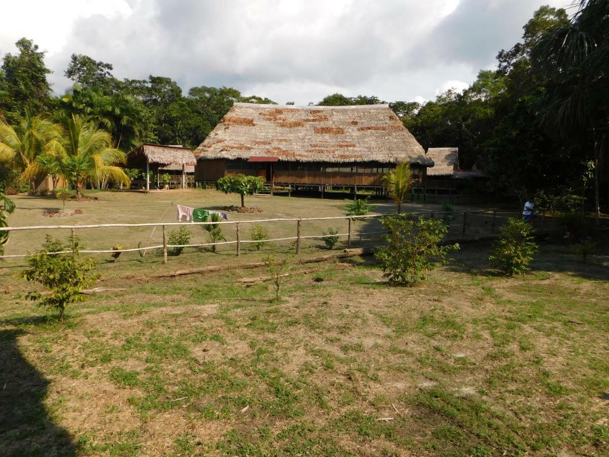 Intillama Jungle Lodge Paucarpata  Luaran gambar