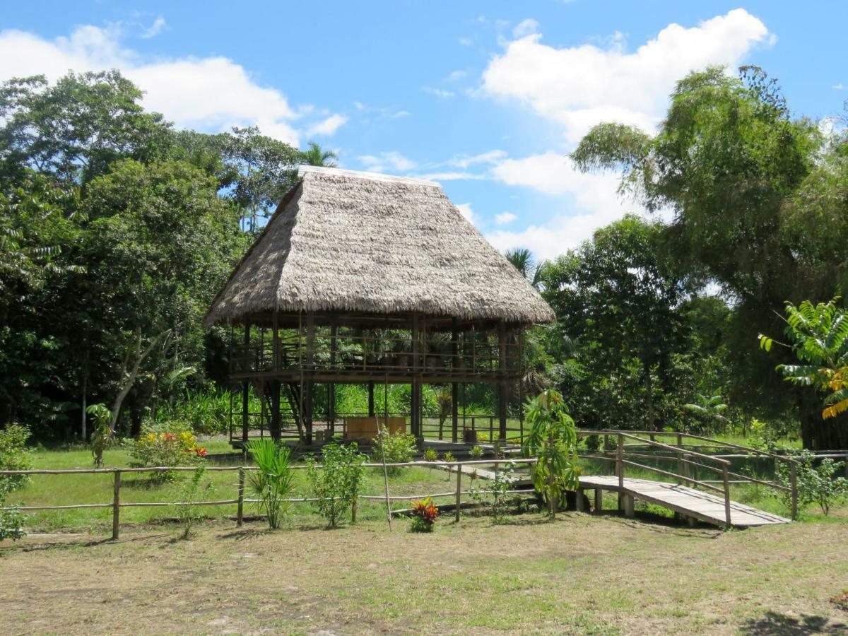 Intillama Jungle Lodge Paucarpata  Luaran gambar